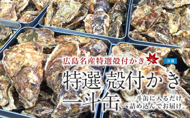 広島産 特選殻付かき 一斗缶