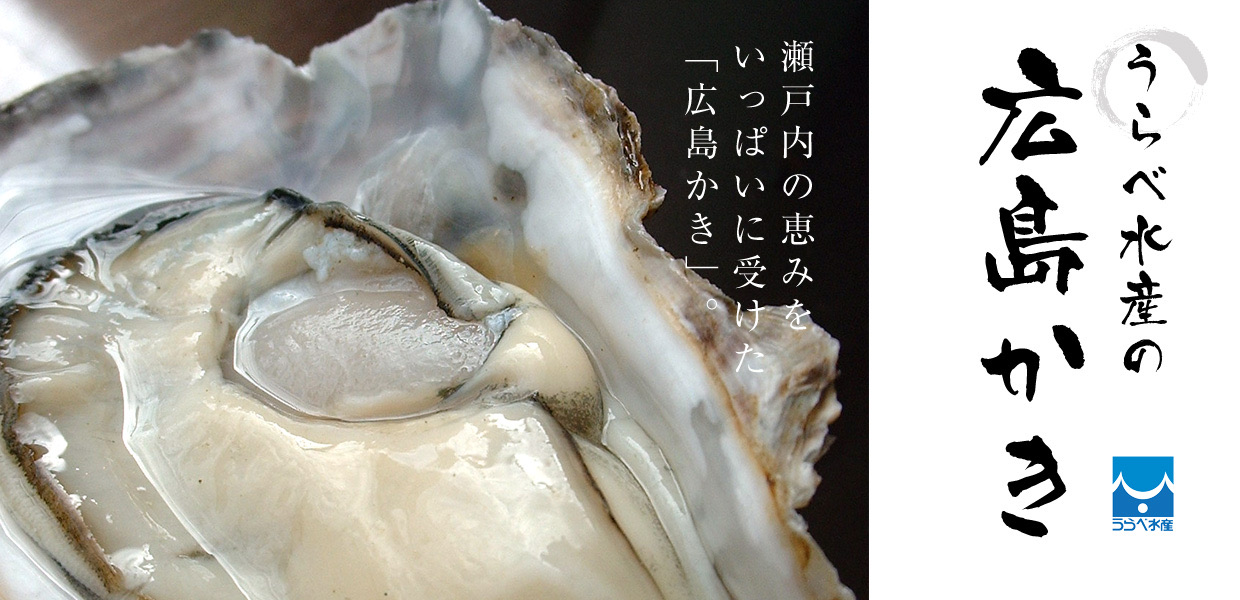 うらべ水産の広島かき 瀬戸内の恵みをいっぱいに受けた「広島かき」。