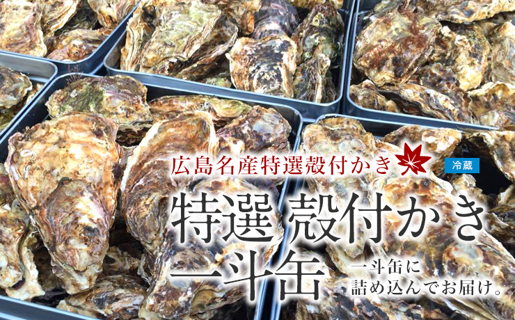 広島産　特選殻付かき　一斗缶