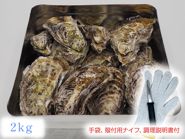 【冷凍】広島春かきの缶かん焼きセット2.4kg