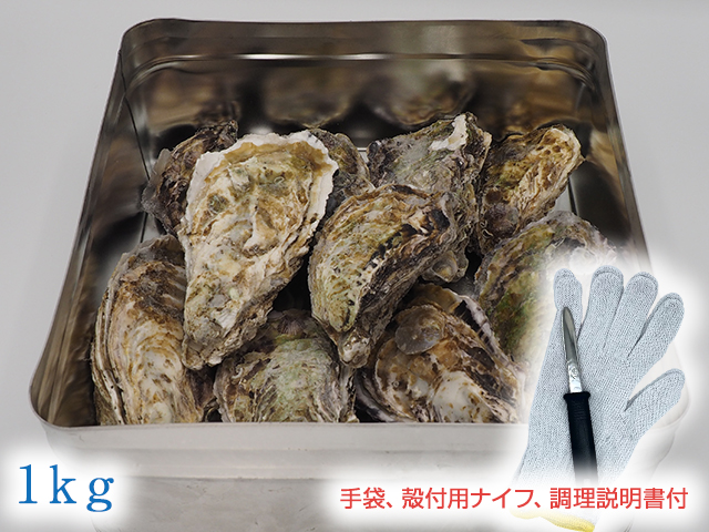 【冷凍】広島かきの缶かん焼きセット【1kg(約12個入・2~3人向け)】