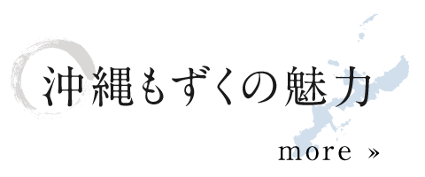 沖縄もずくの魅力