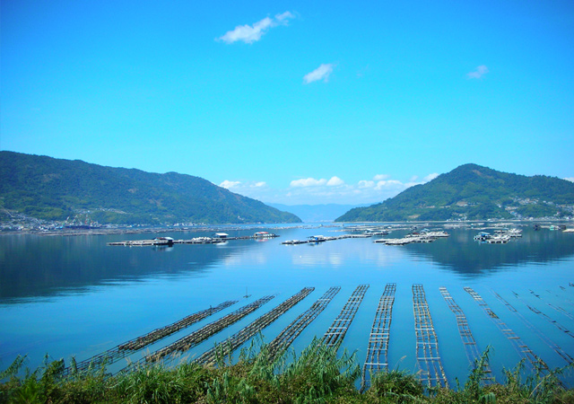 広島かき広島湾イメージ