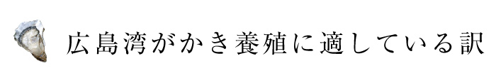 広島湾がかき養殖に適している訳