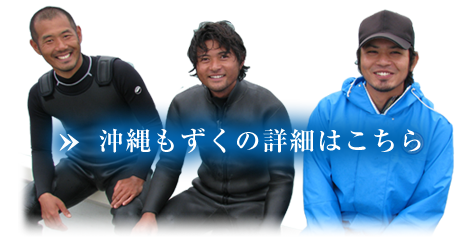 沖縄もずくの詳細はこちら